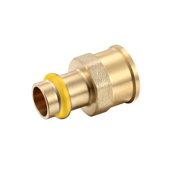 Female Coupling DN50 X 2FI