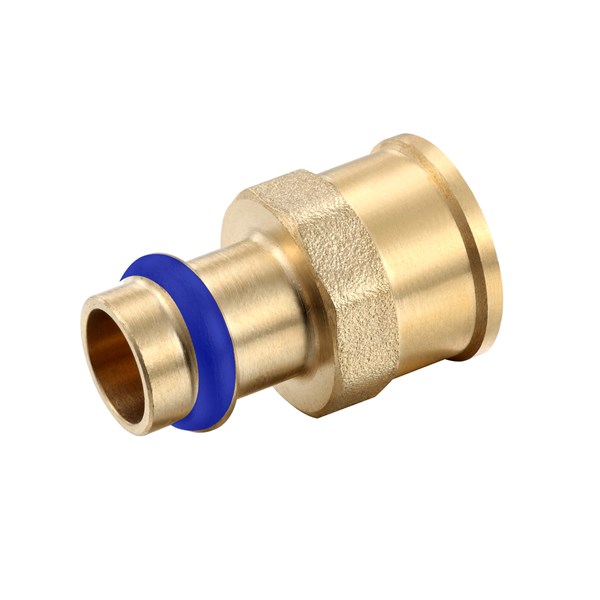 Female Coupling DN50 X 2FI Lead Free
