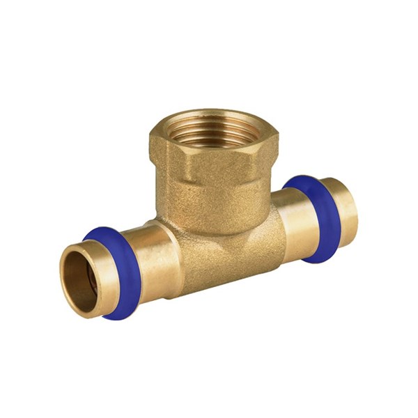 Tee With FI Centre DN25 X DN25 X 1FI Lead Free